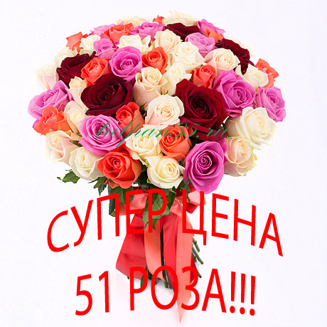 Большие открытки с доставкой Большие открытки с доставкой